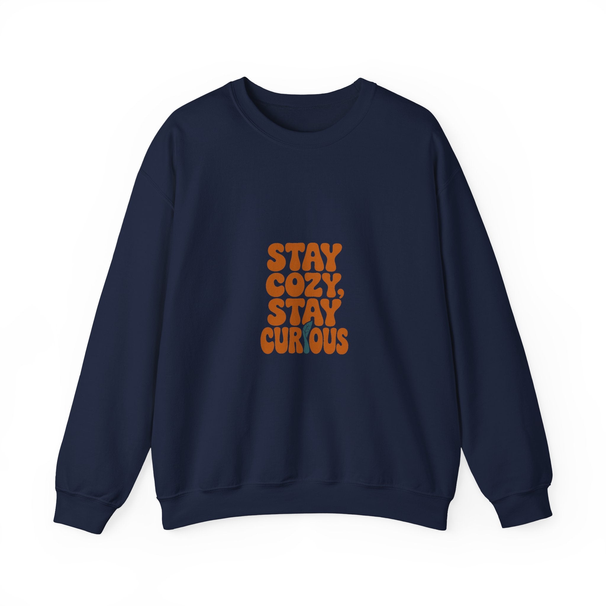 Stay Cozy, Stay Curious Crewneck