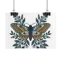 Botanical Moth and Flora Poster