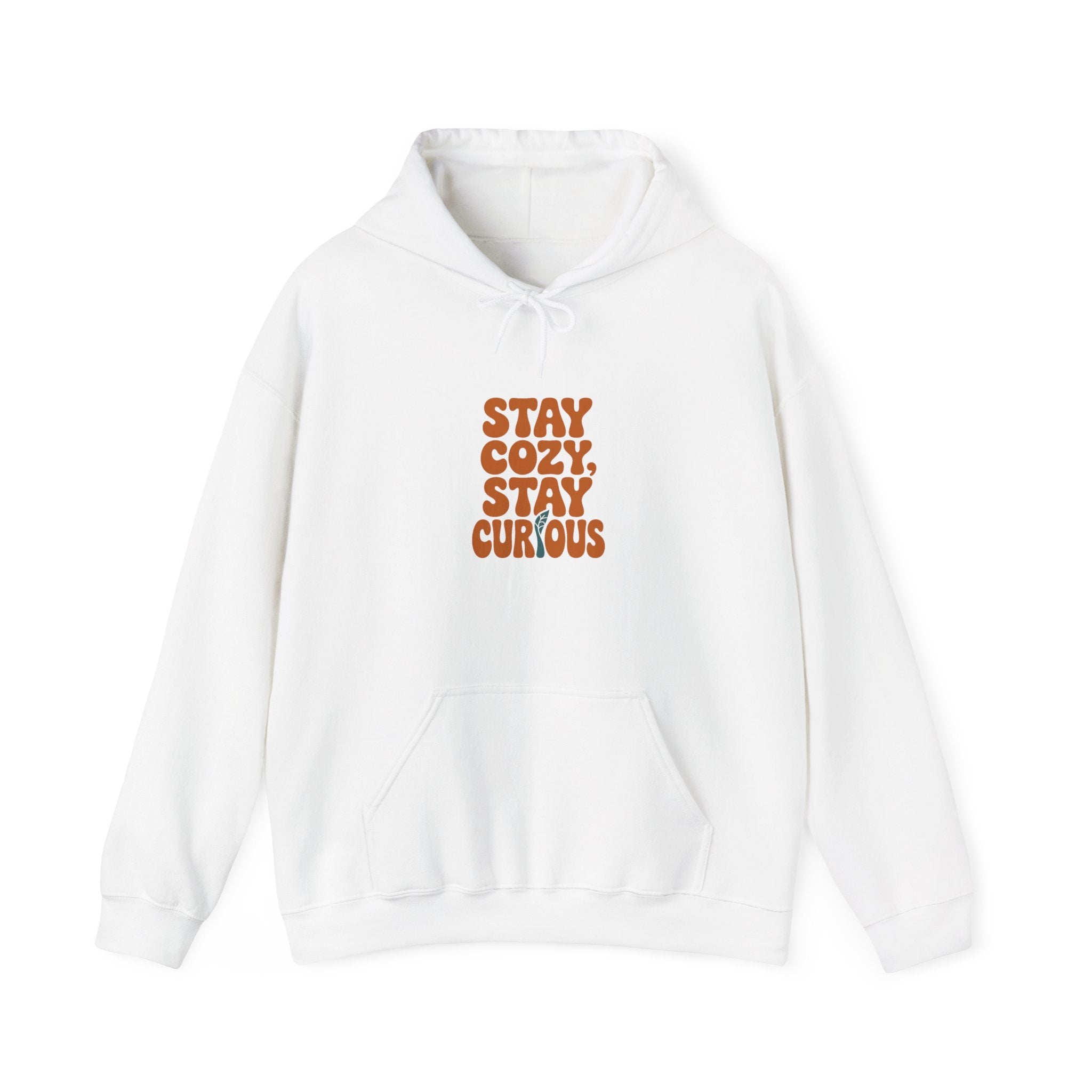 Stay Cozy, Stay Curious Hoodie