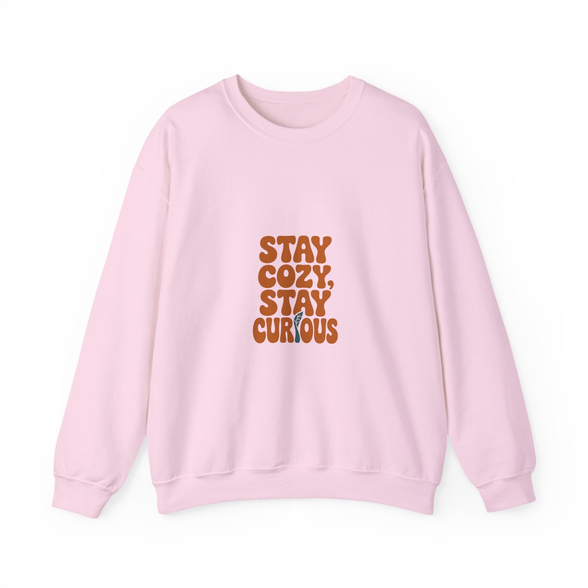 Stay Cozy, Stay Curious Crewneck