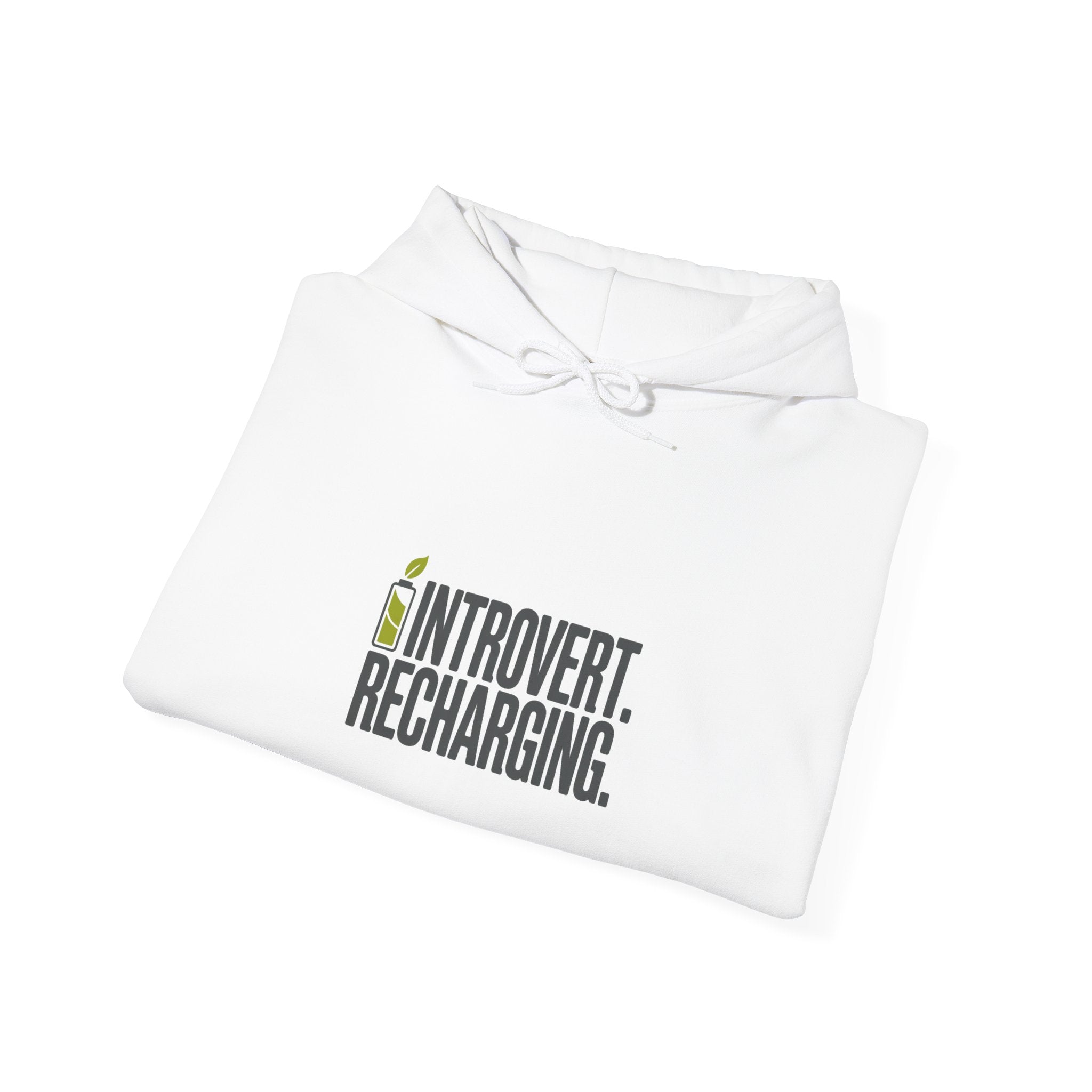 Introvert. Recharging. Hoodie