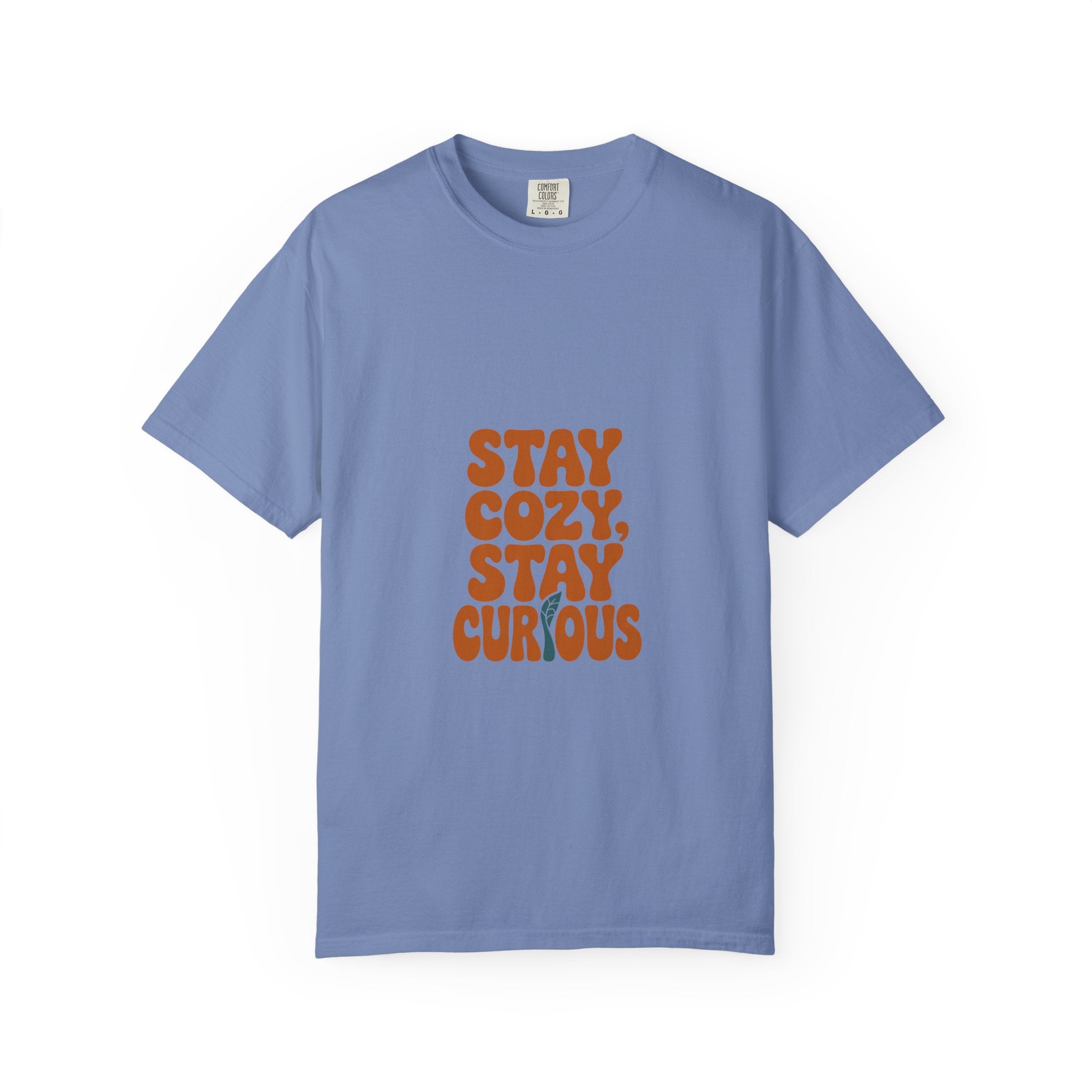 Stay Cozy, Stay Curious Tee