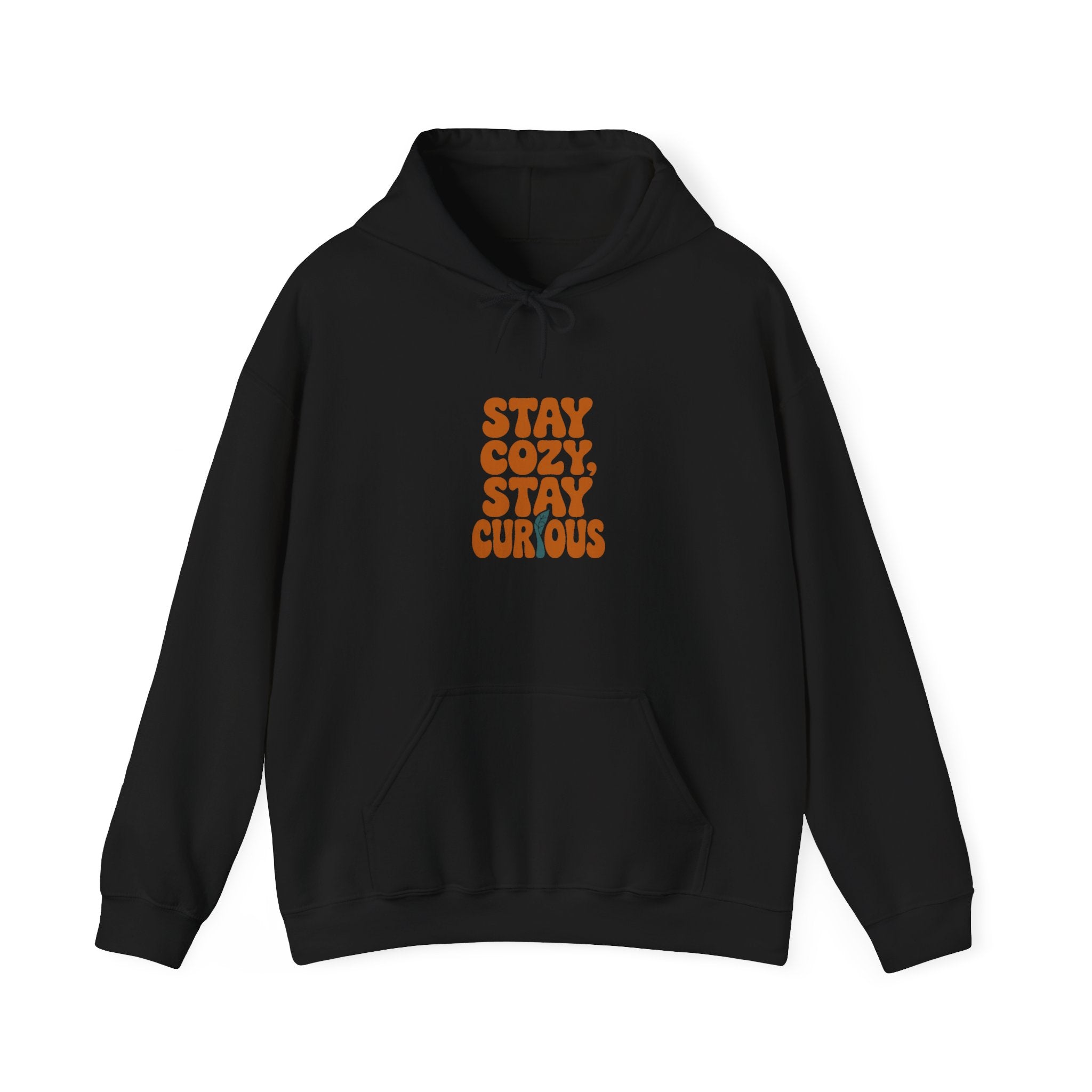 Stay Cozy, Stay Curious Hoodie