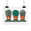 Cottage Window Herbs Poster