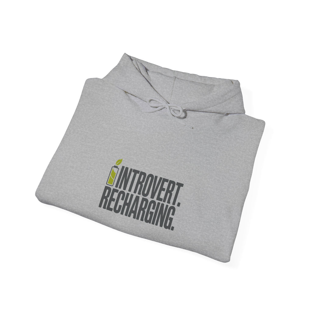 Introvert. Recharging. Hoodie
