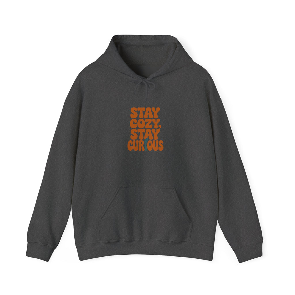 Stay Cozy, Stay Curious Hoodie