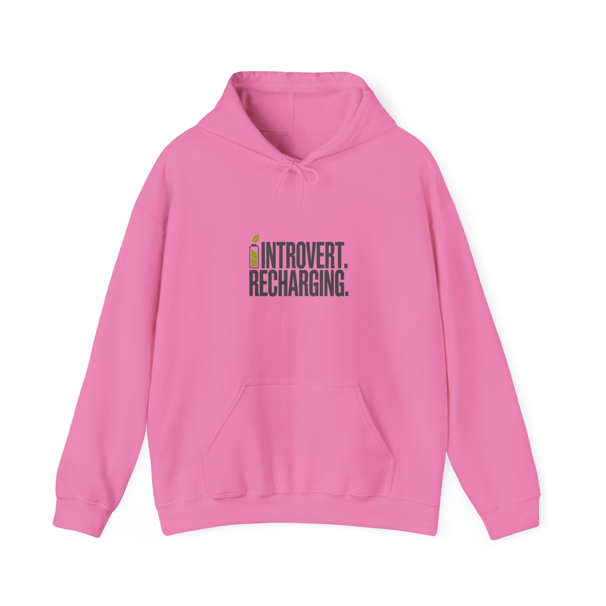 Introvert. Recharging. Hoodie
