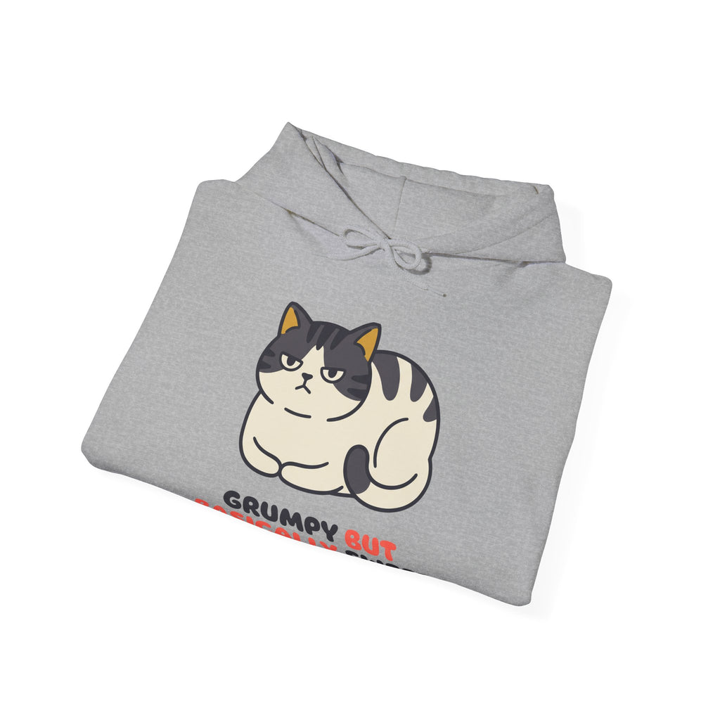 Grumpy but Basically Sweet Hoodie