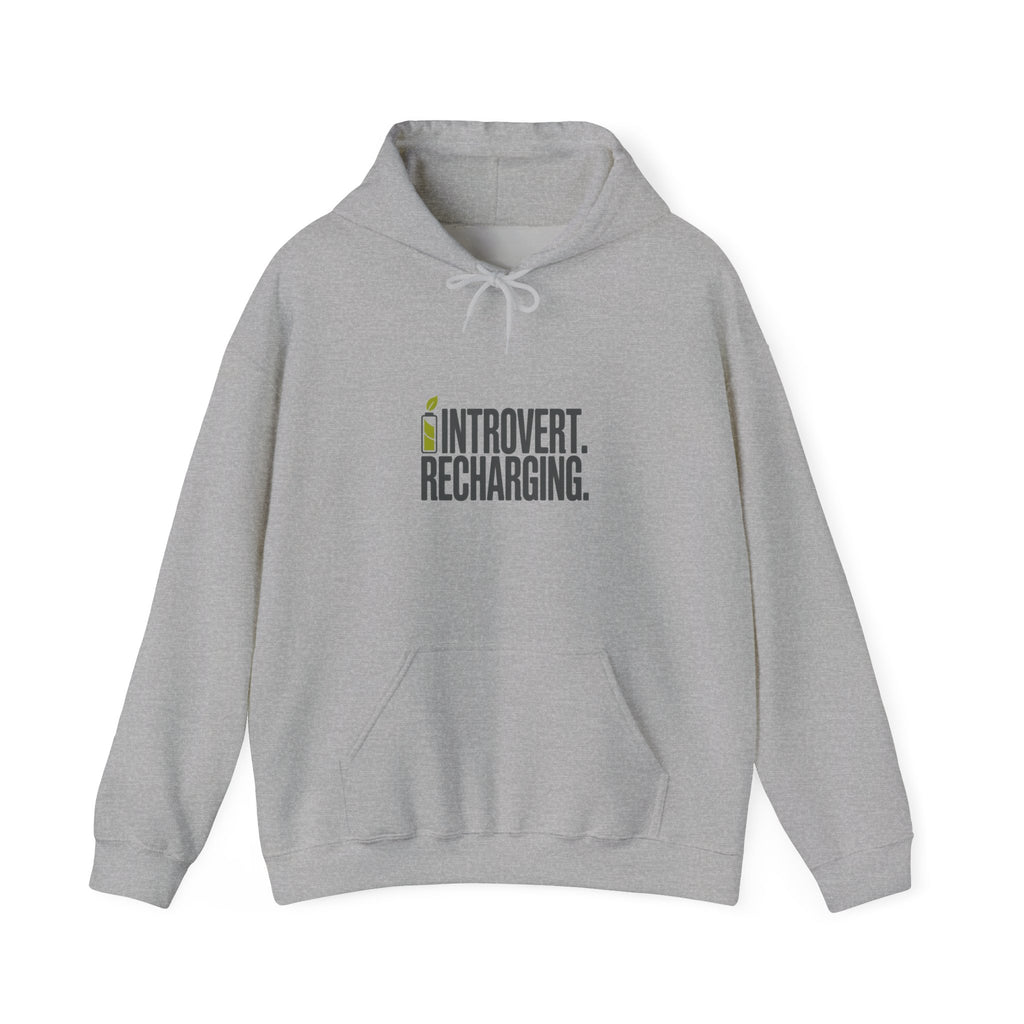 Introvert. Recharging. Hoodie