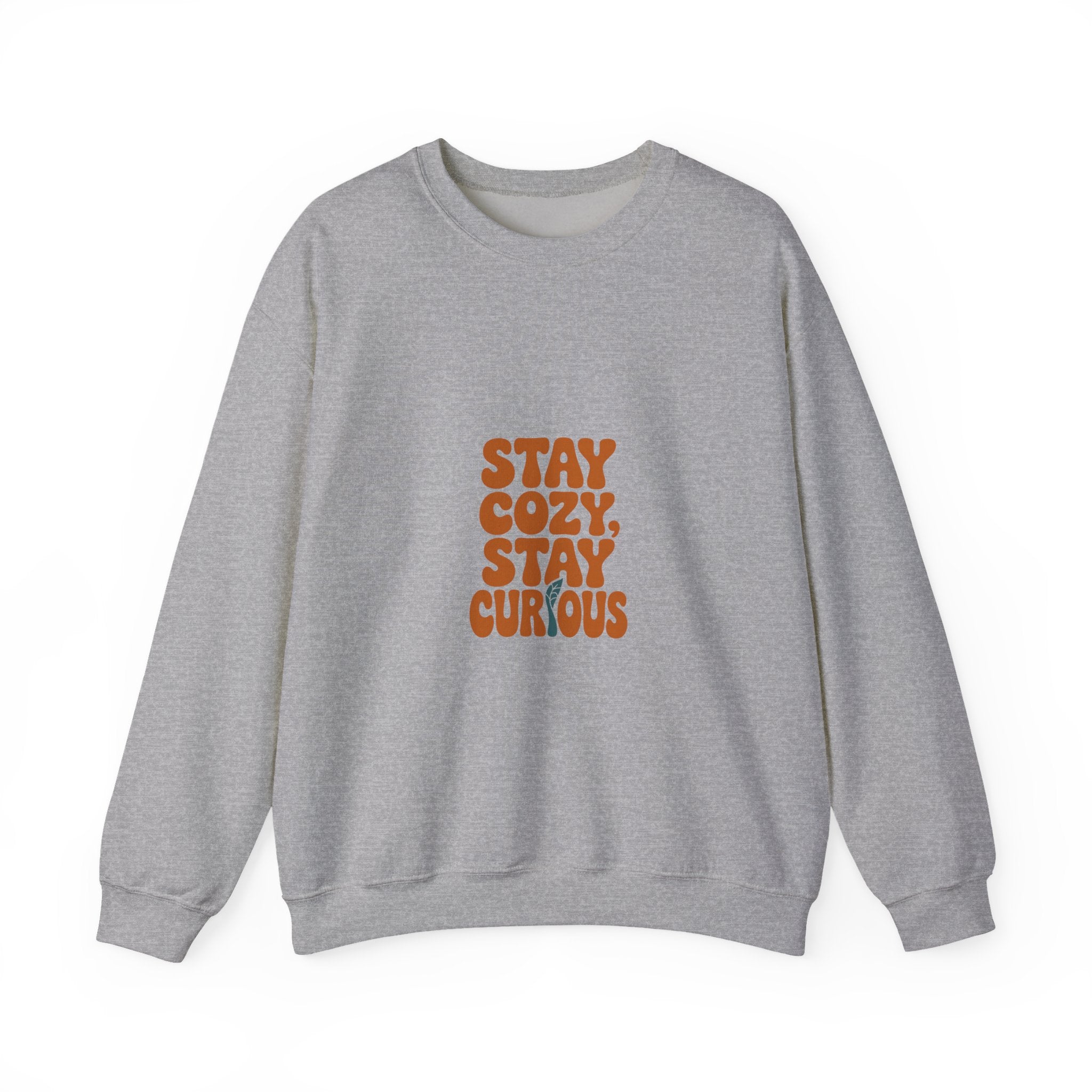 Stay Cozy, Stay Curious Crewneck