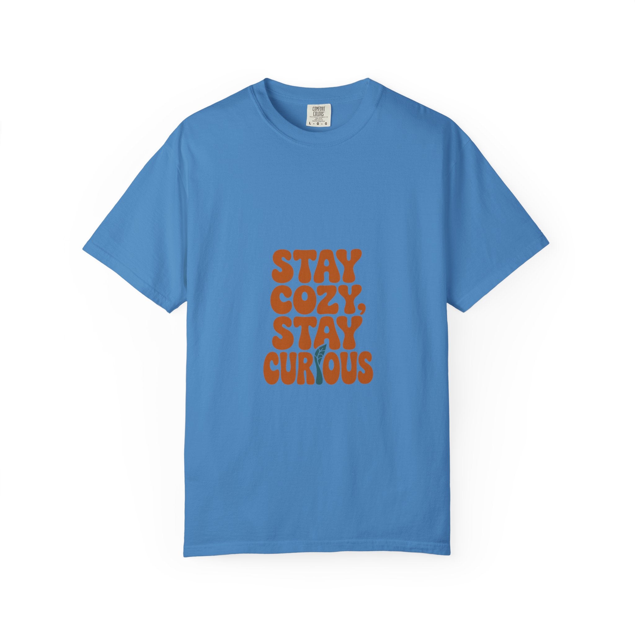 Stay Cozy, Stay Curious Tee