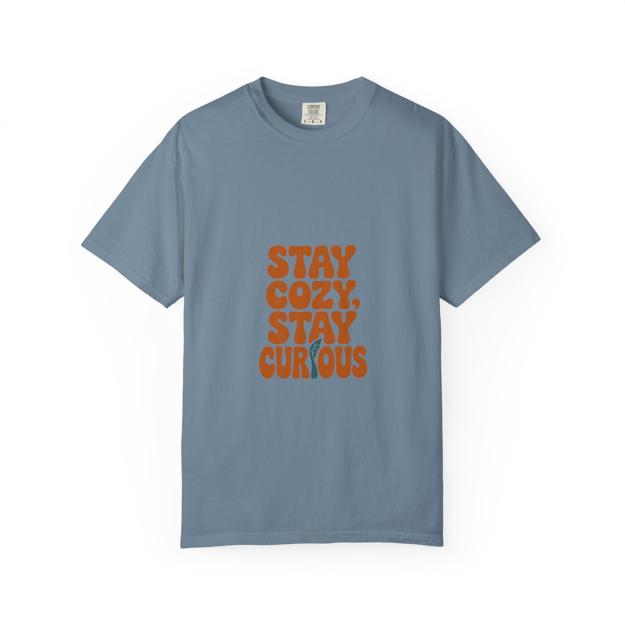 Stay Cozy, Stay Curious Tee