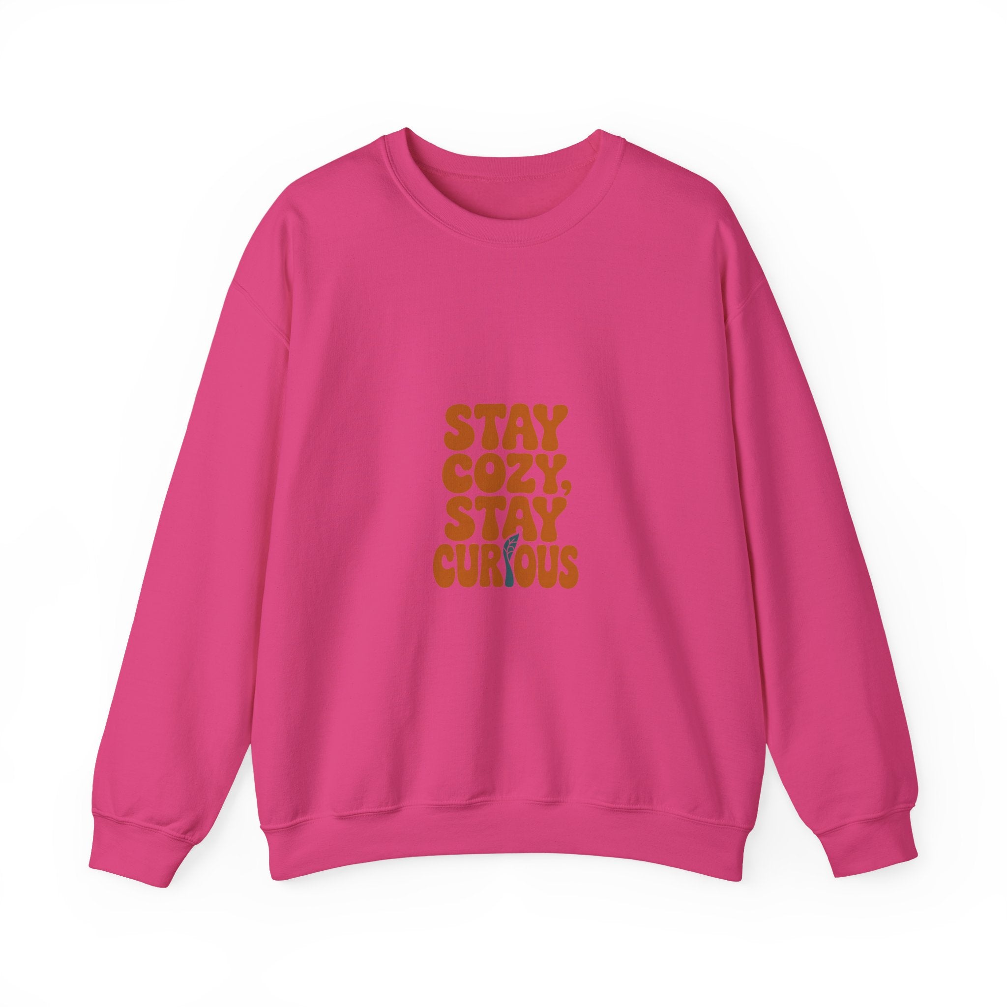 Stay Cozy, Stay Curious Crewneck