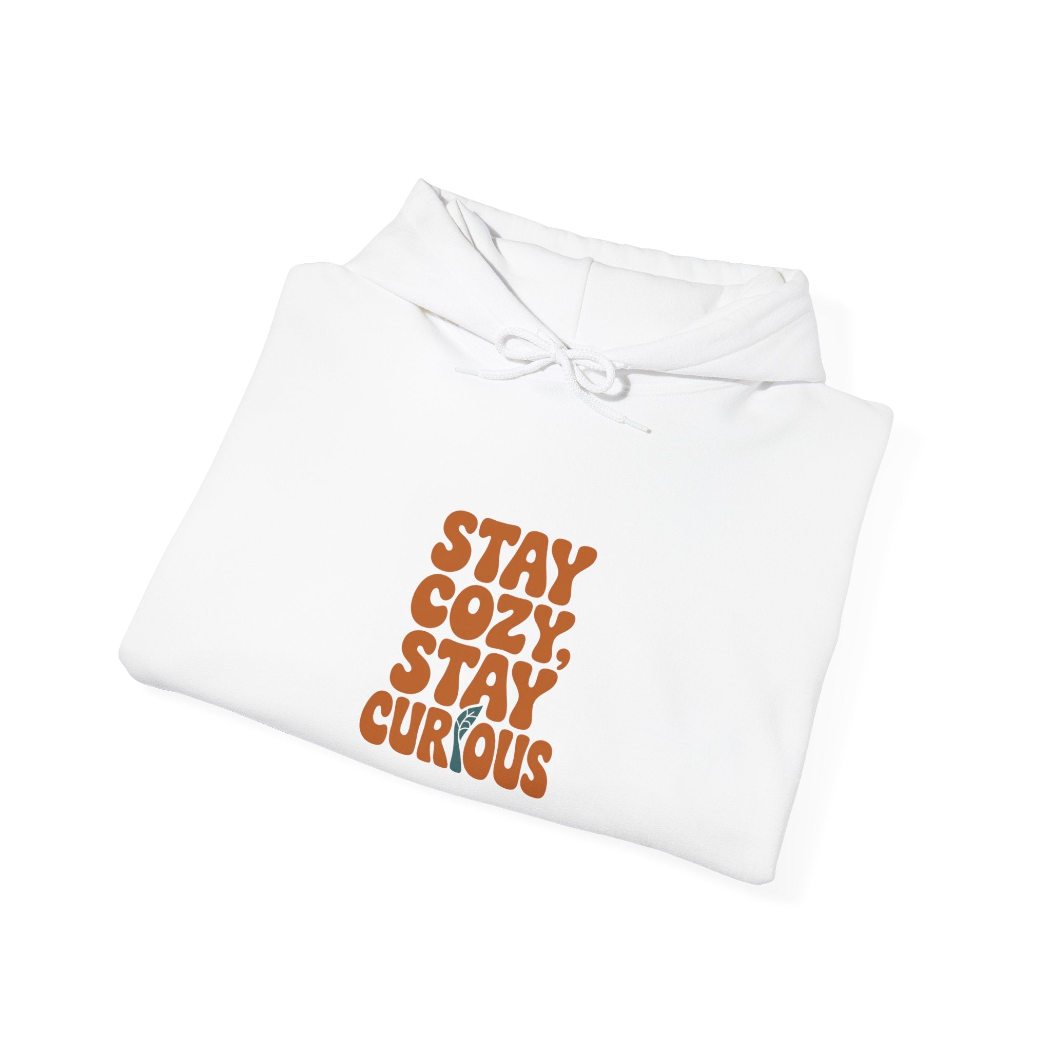 Stay Cozy, Stay Curious Hoodie