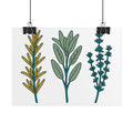Herb Sprig Set Poster