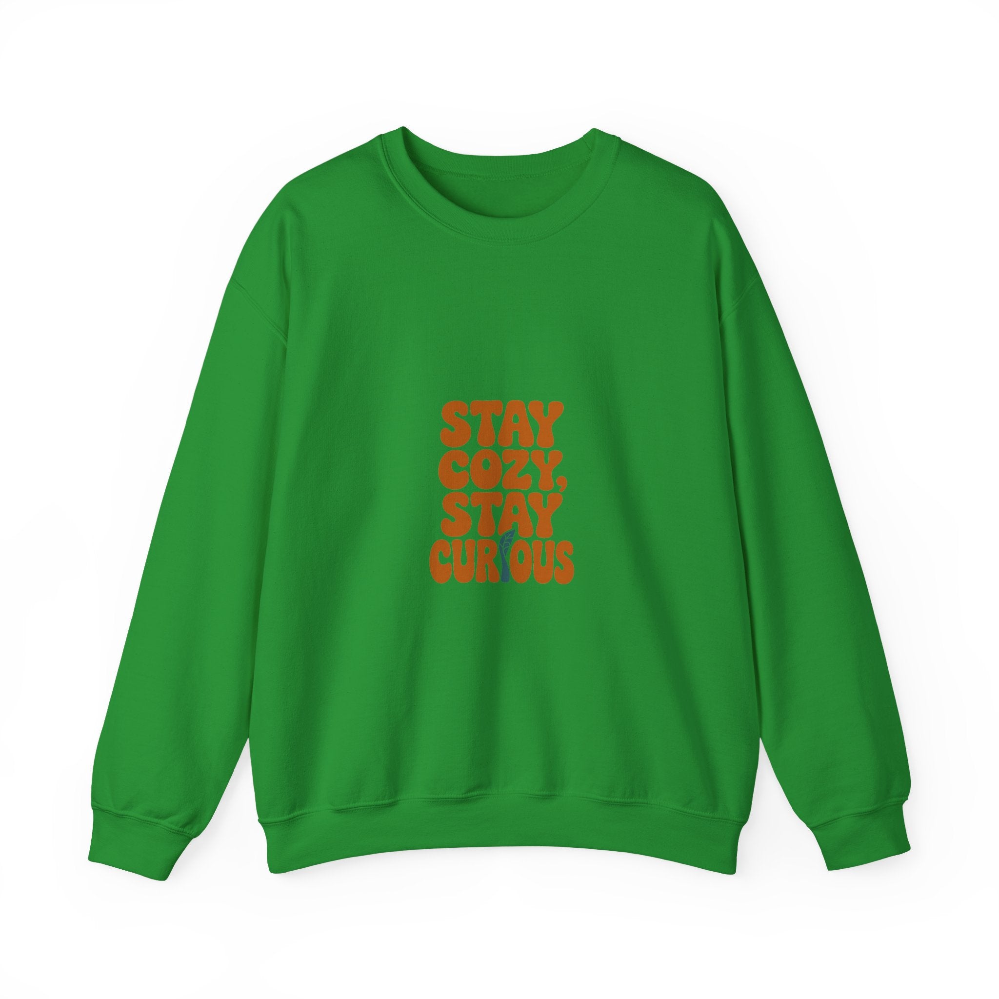 Stay Cozy, Stay Curious Crewneck