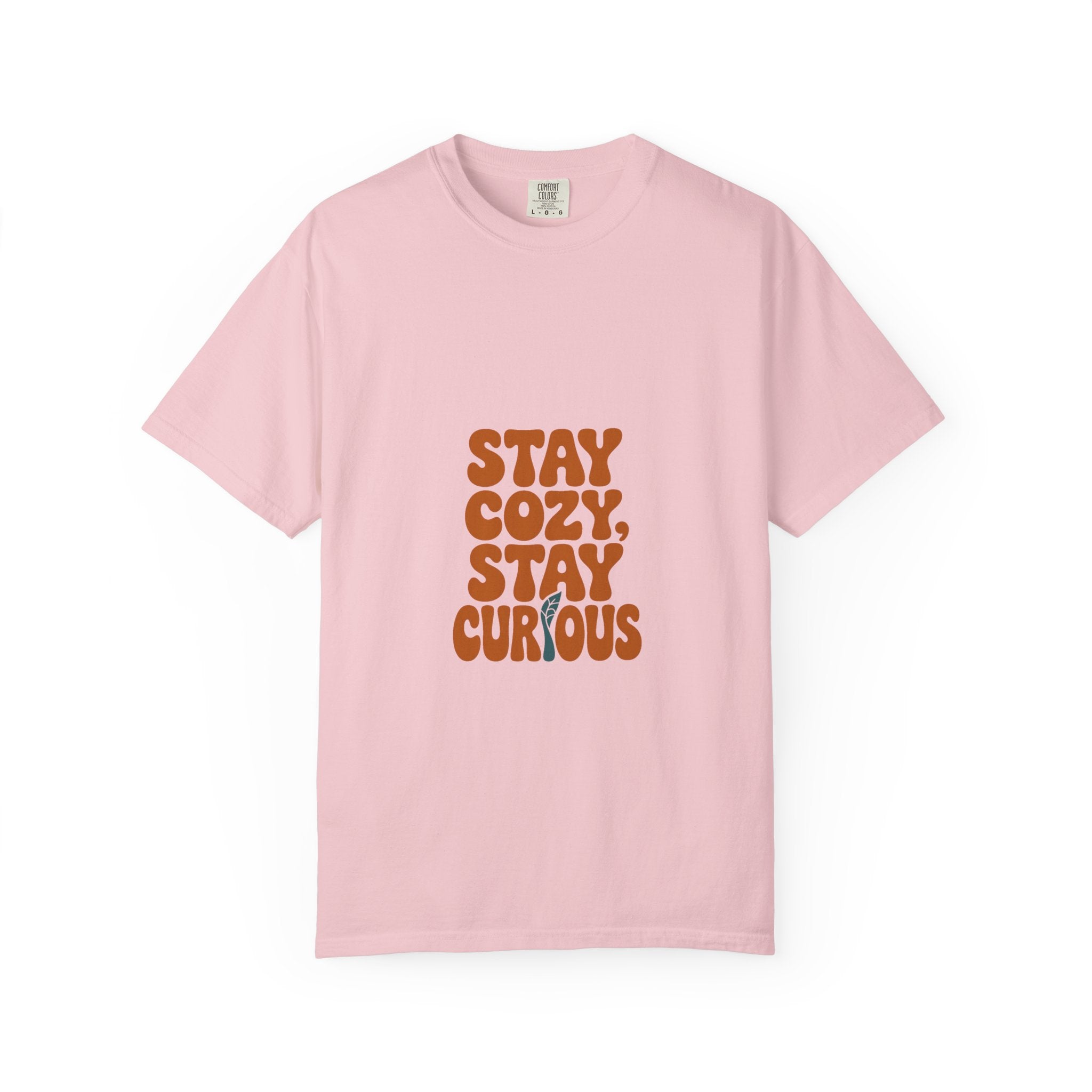 Stay Cozy, Stay Curious Tee