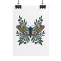 Botanical Moth and Flora Poster