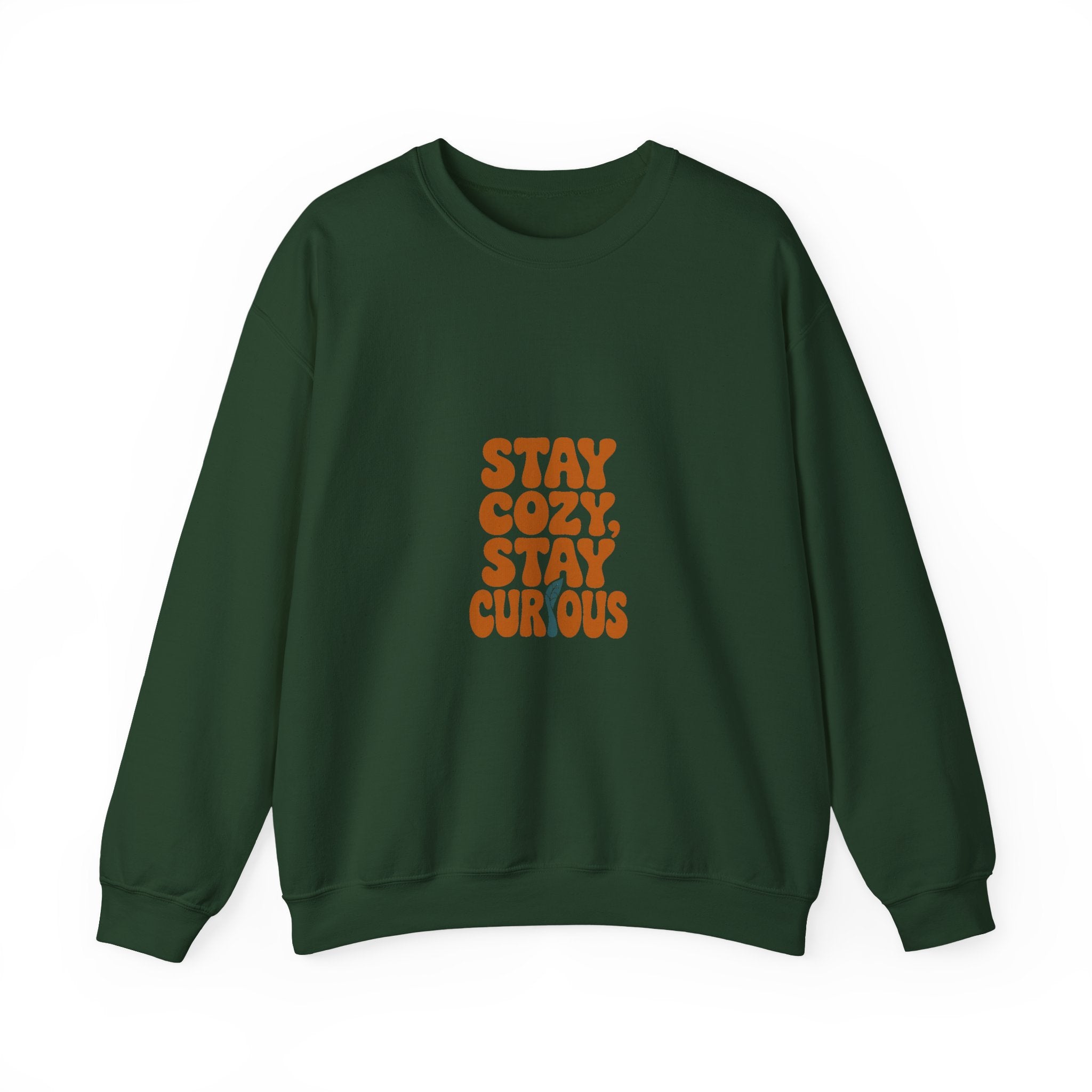 Stay Cozy, Stay Curious Crewneck