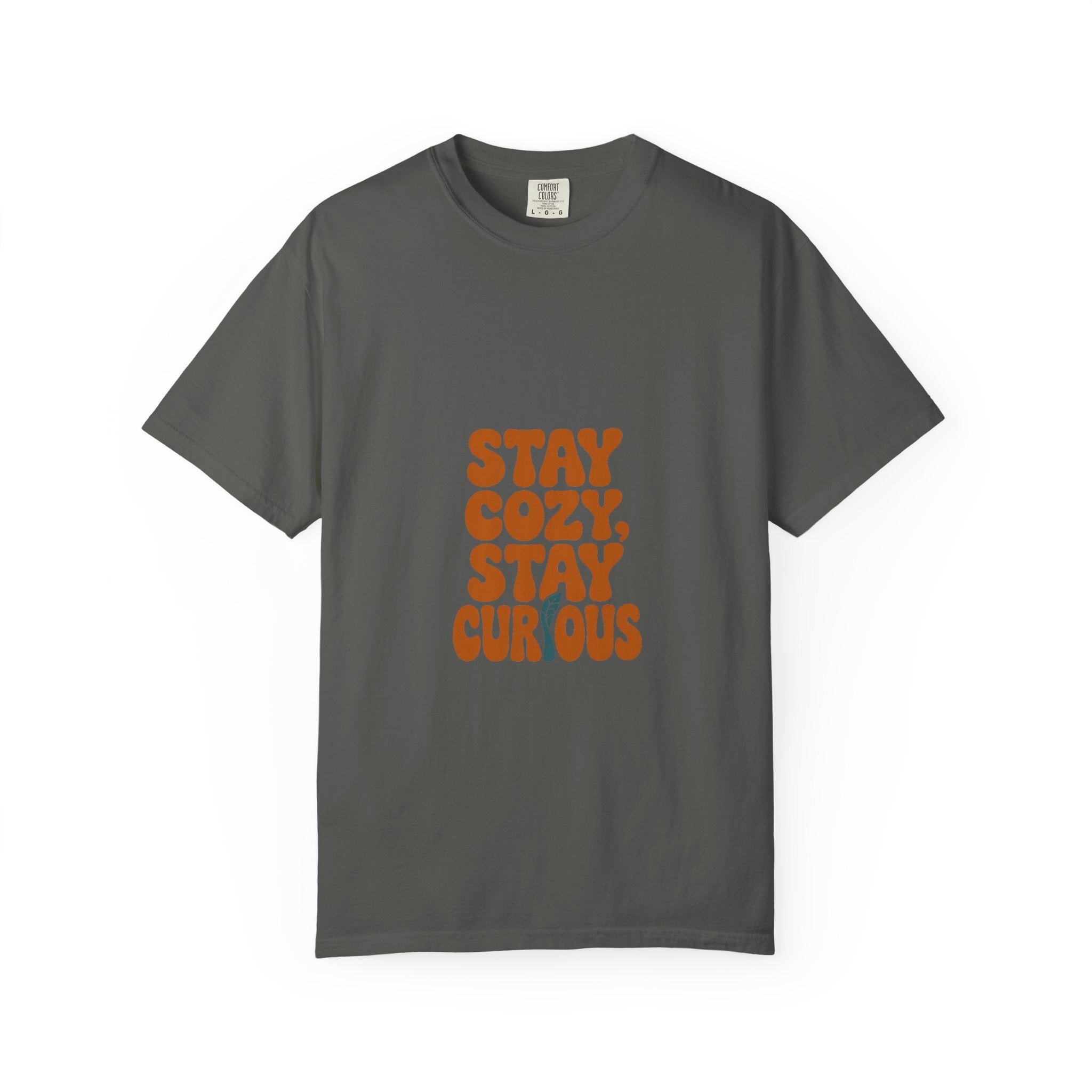 Stay Cozy, Stay Curious Tee