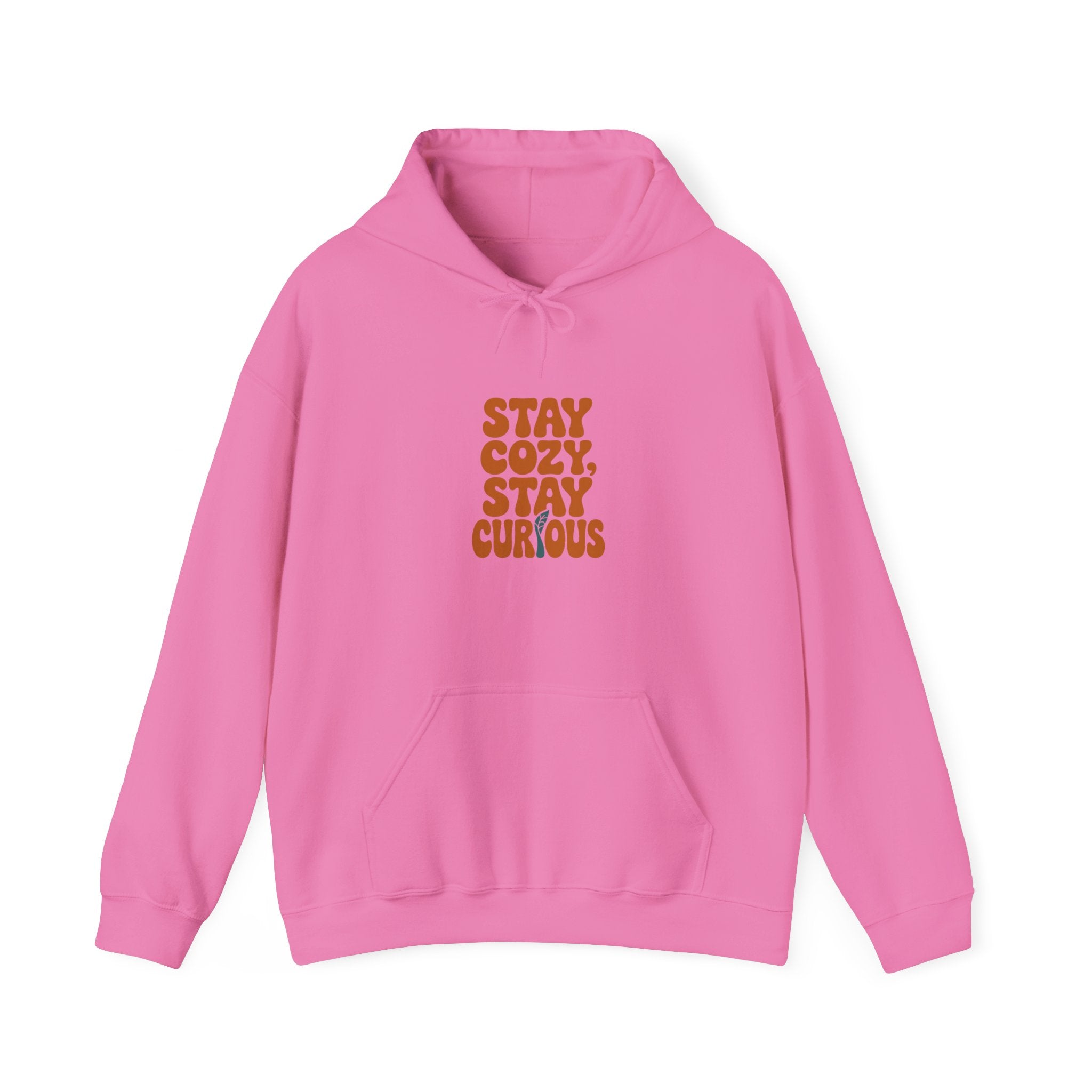 Stay Cozy, Stay Curious Hoodie