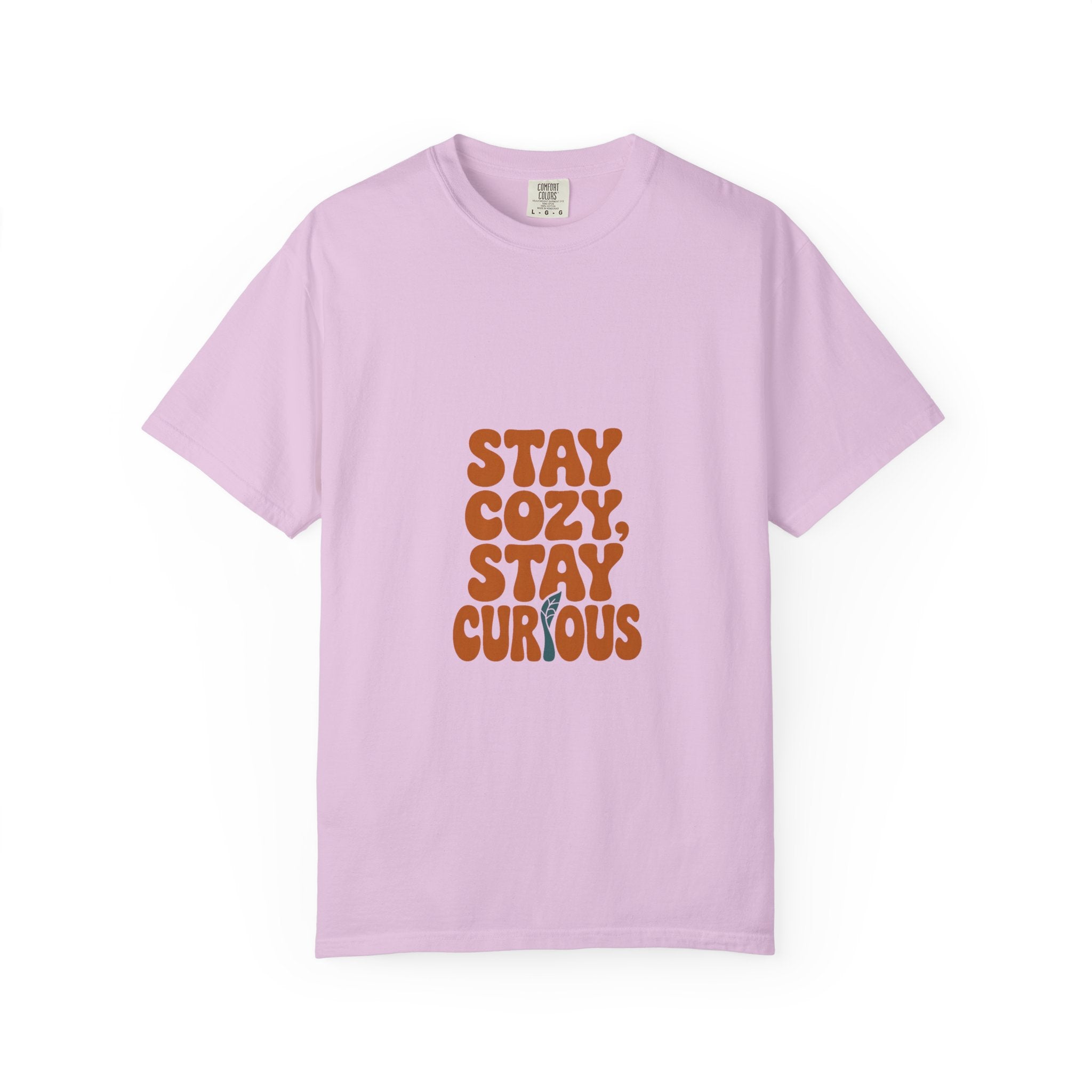Stay Cozy, Stay Curious Tee