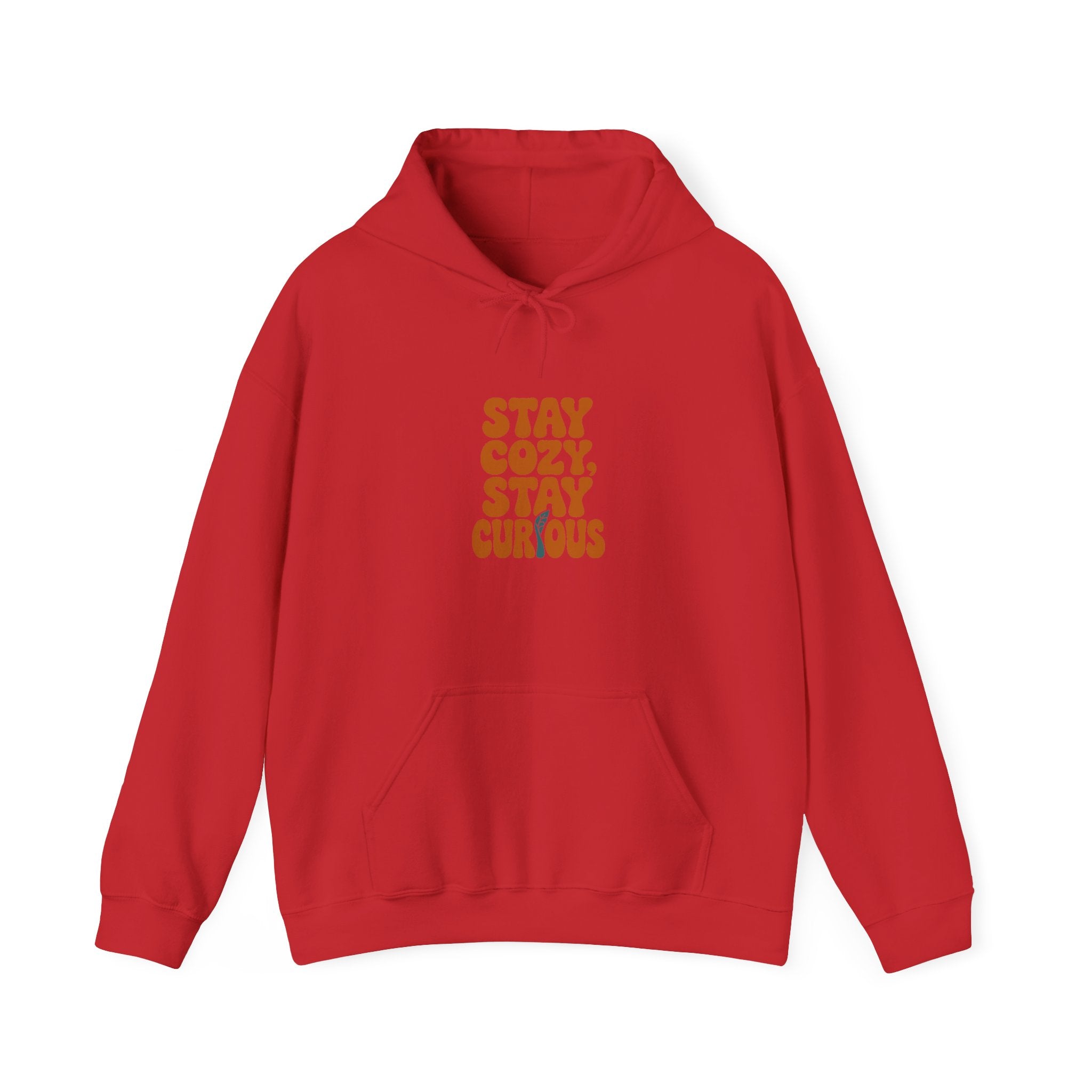 Stay Cozy, Stay Curious Hoodie