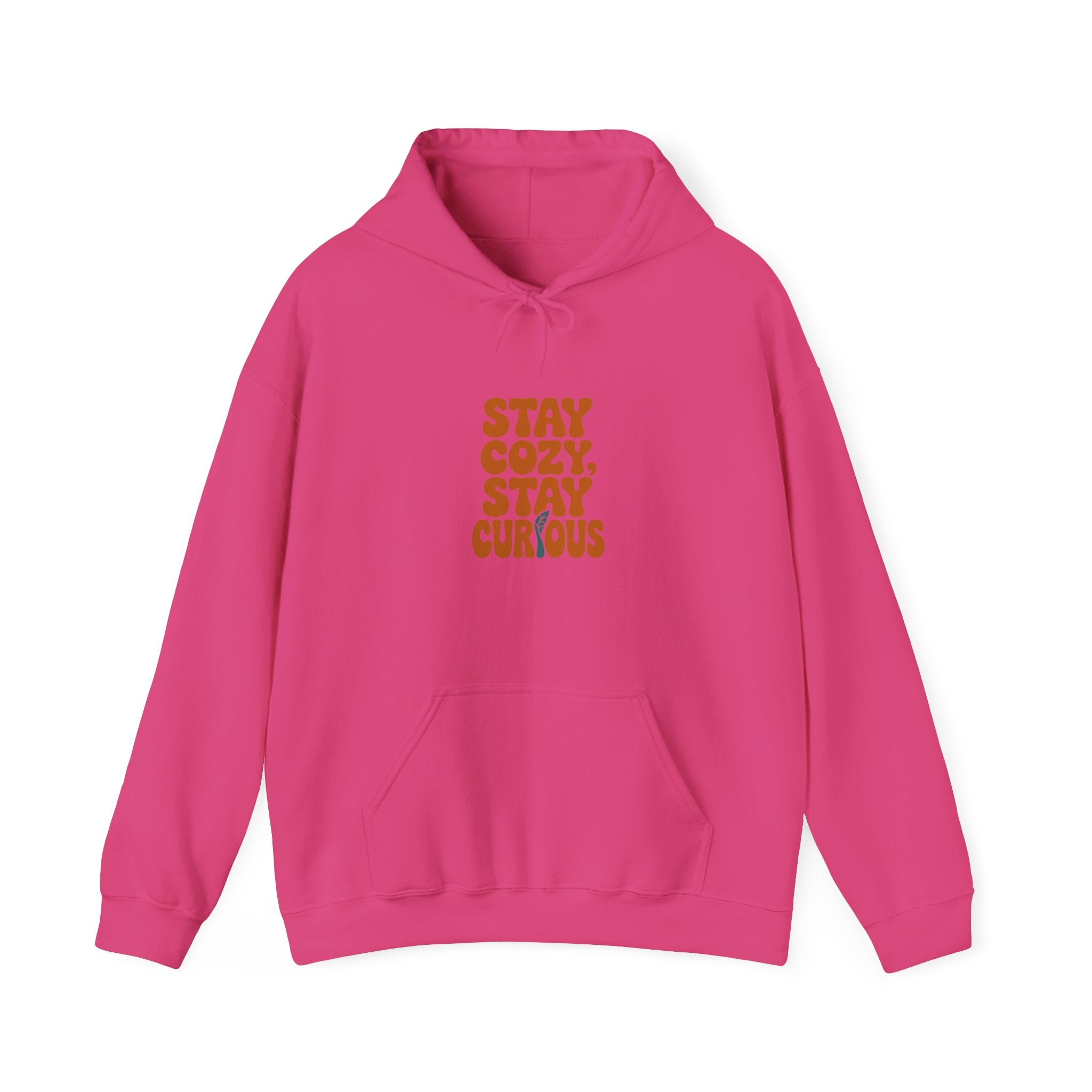 Stay Cozy, Stay Curious Hoodie