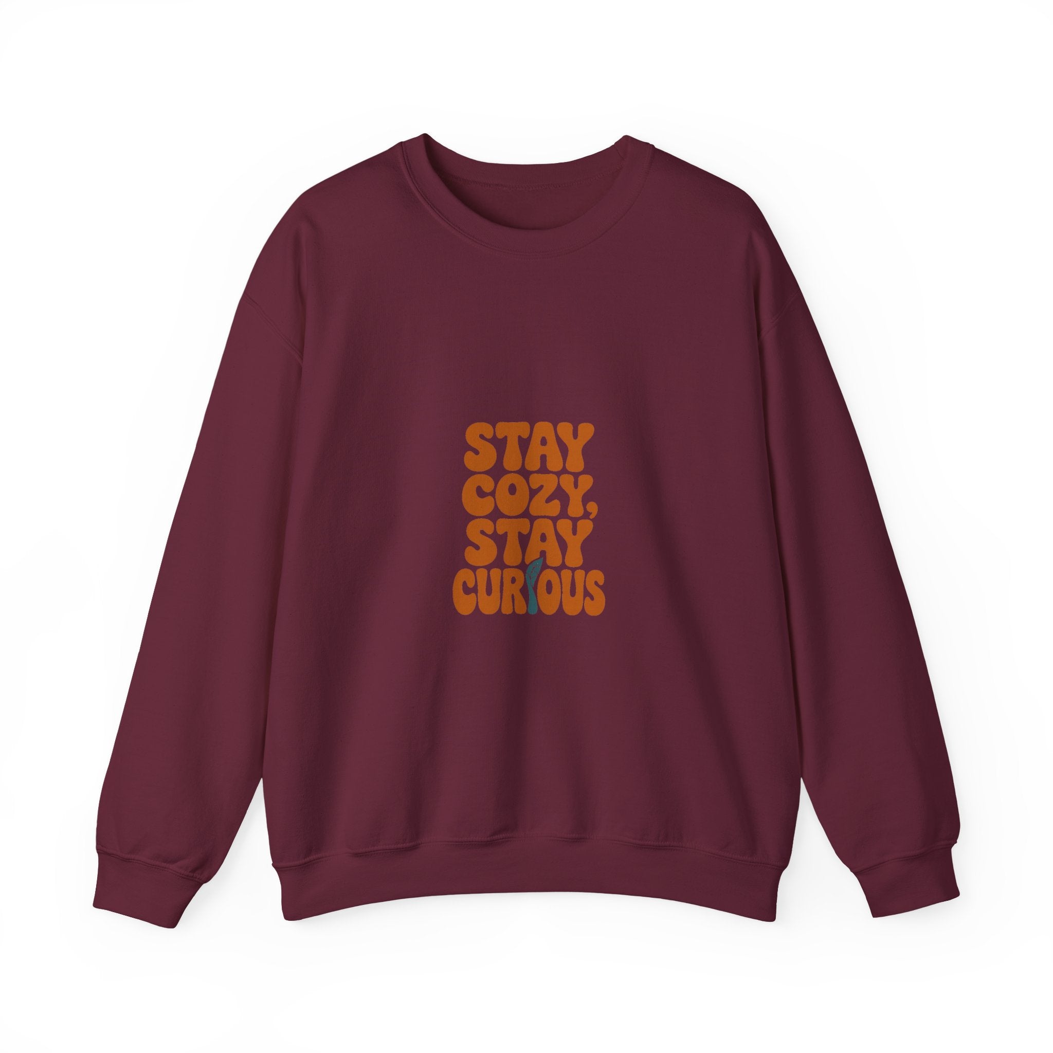 Stay Cozy, Stay Curious Crewneck