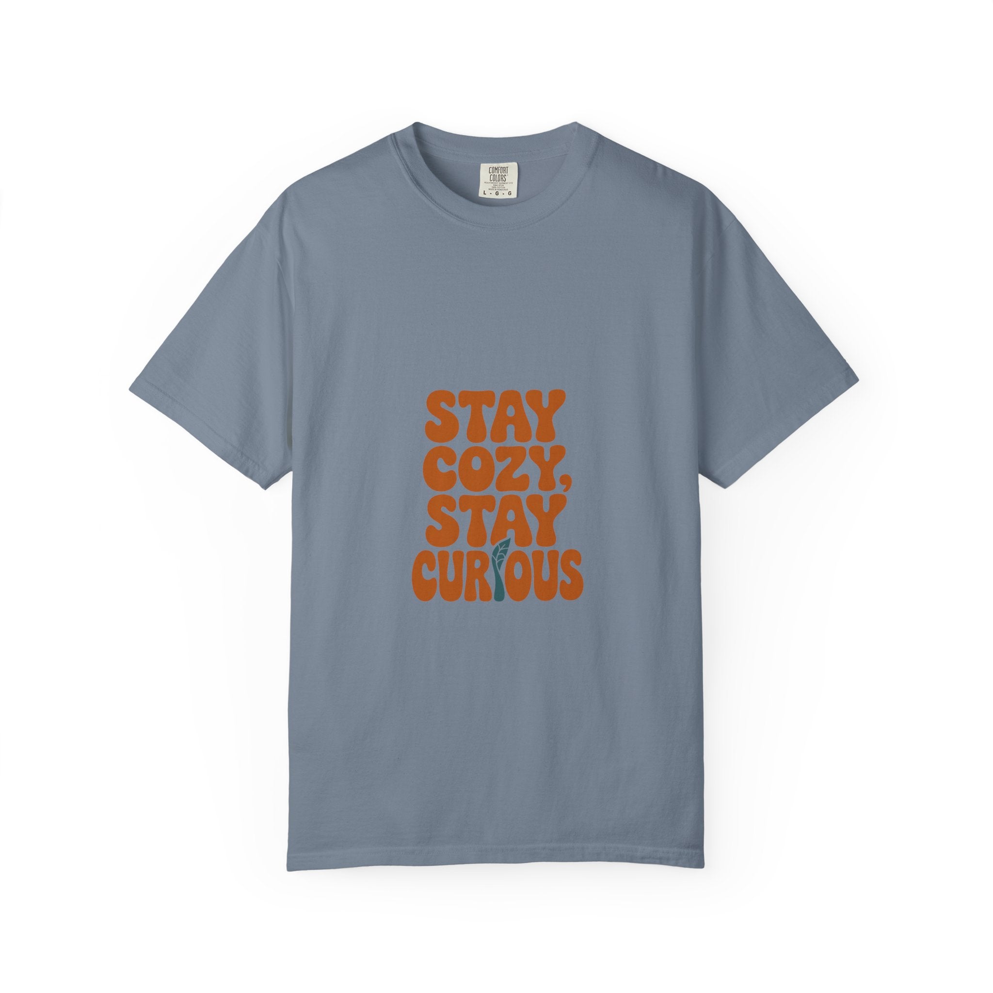 Stay Cozy, Stay Curious Tee