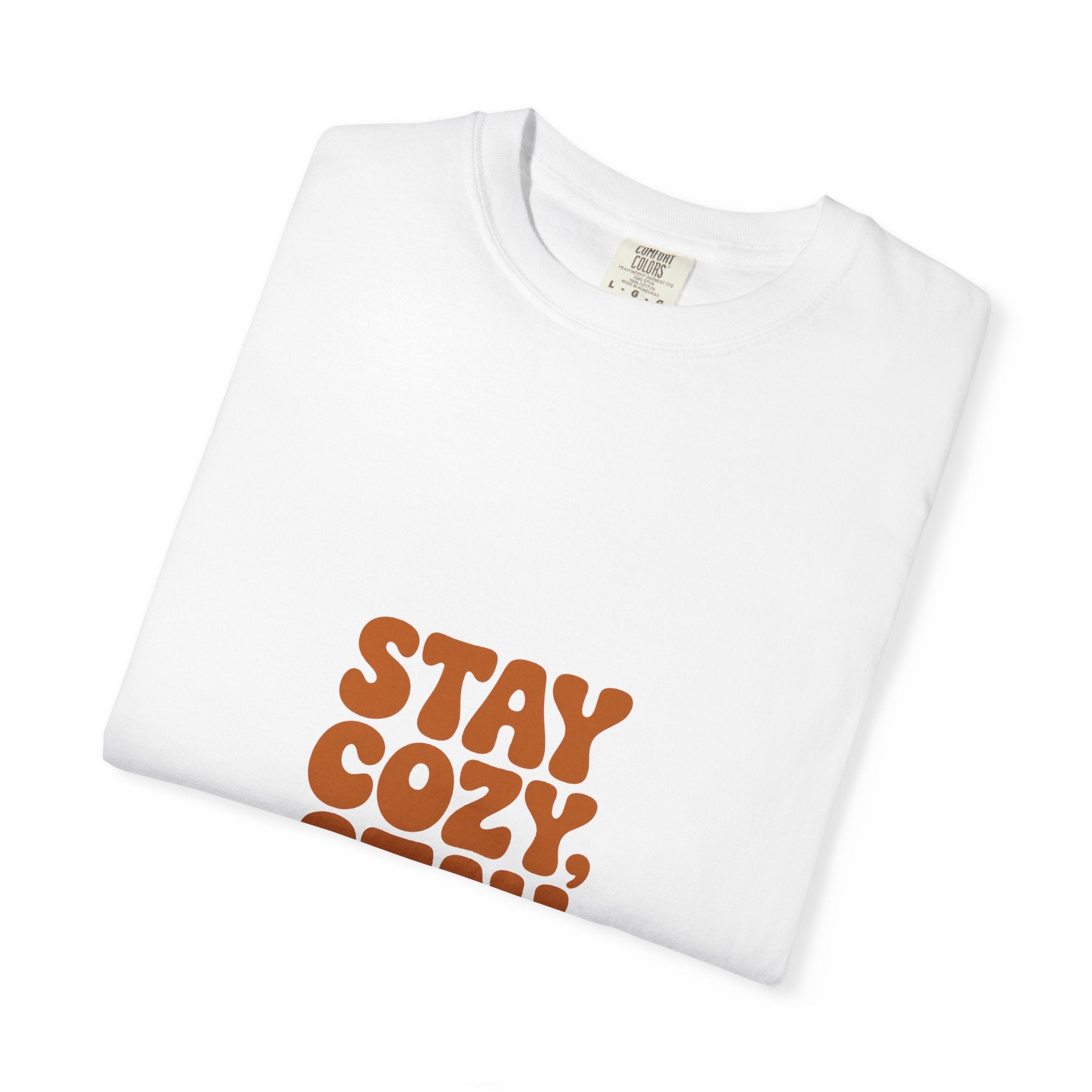 Stay Cozy, Stay Curious Tee