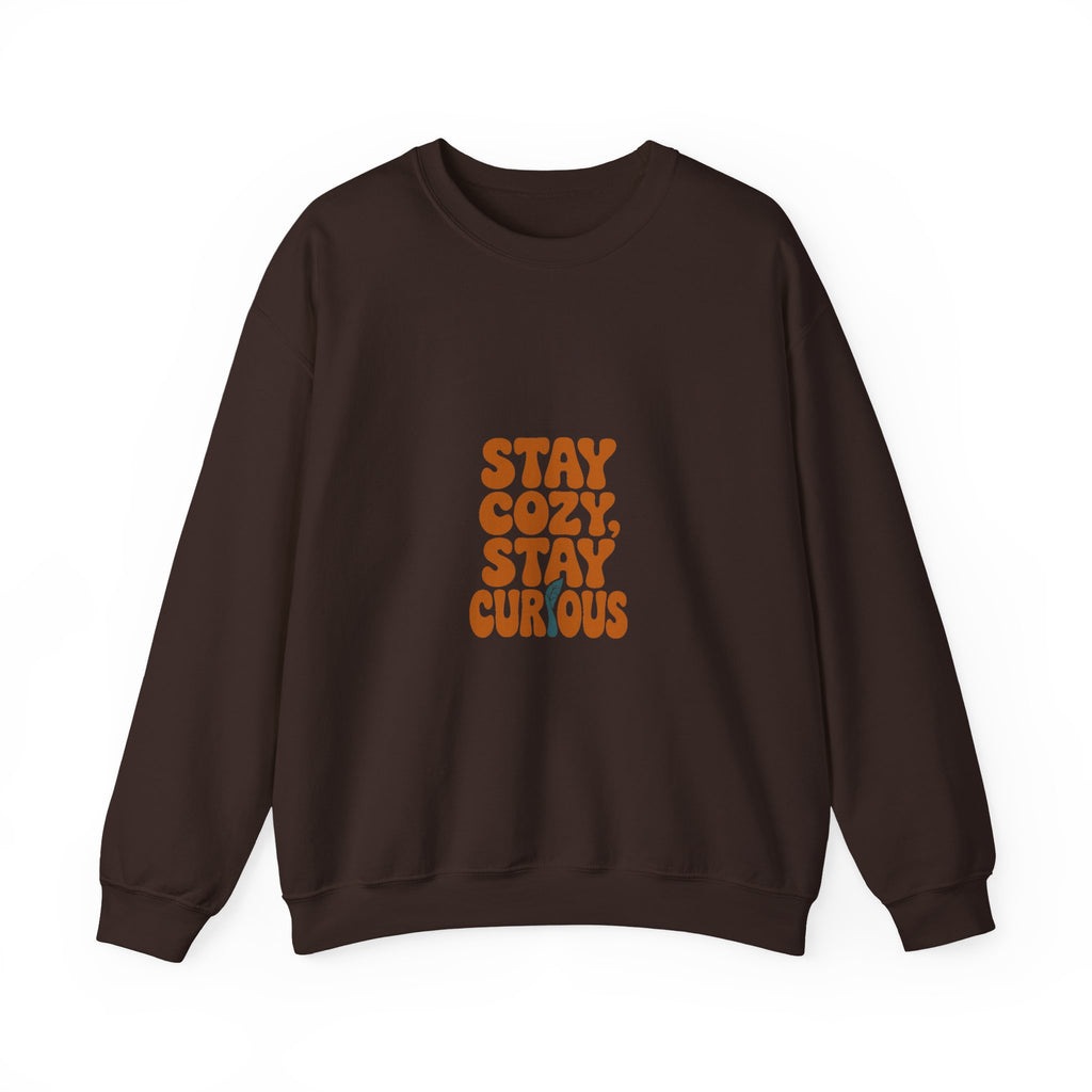 Stay Cozy, Stay Curious Crewneck